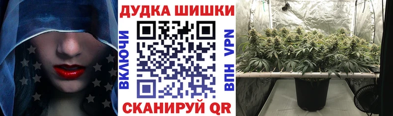Шишки марихуана Ganja Вышний Волочёк